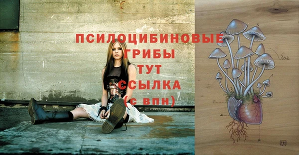 соль курить ск Магадан