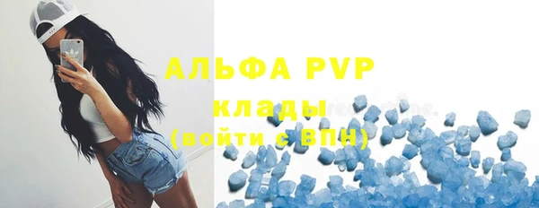 трава Белая Холуница