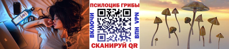 Псилоцибиновые грибы мицелий  где купить   Рудня 
